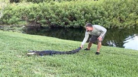 The 23-year-old was pulled to safety by other swimmers and transported by a medical helicopter to a nearby trauma center with significant bite injuries. . Alligator attacks woman video youtube